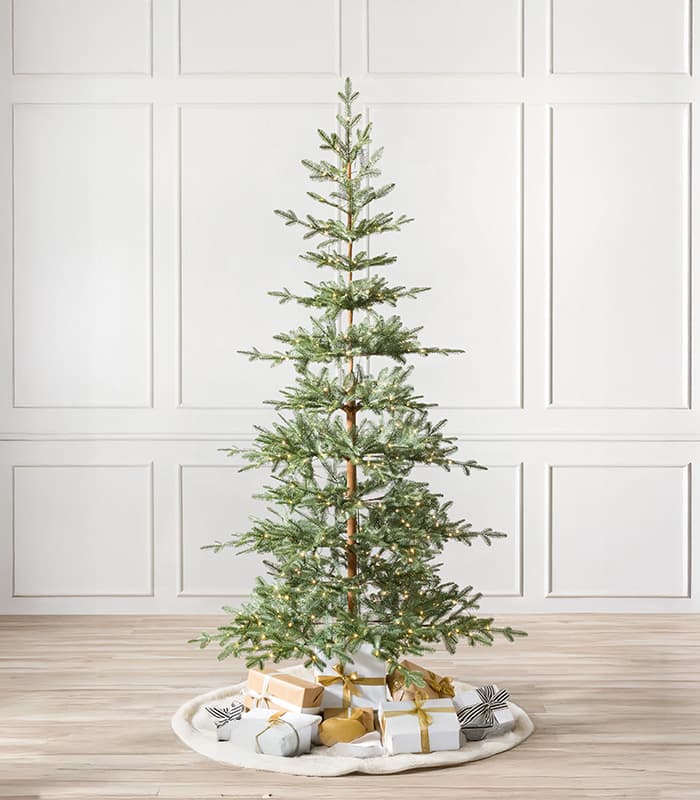 alpine-balsam-fir-trees.jpeg Alpine Balsam Fir Trees - Image 1
