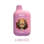 KUZ C6000 PUFFS