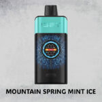 MOUNTAIN SPRING MINT ICE – IGET ONE – 12000 PUFFS